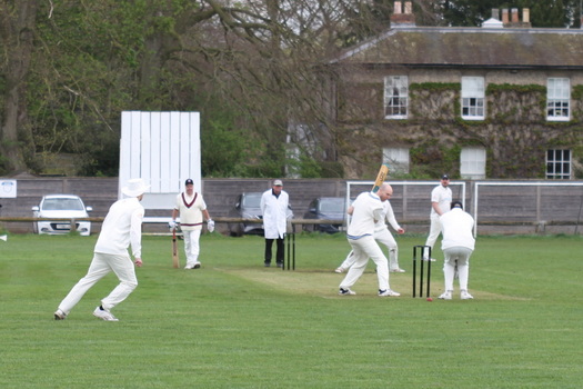 Cricket players