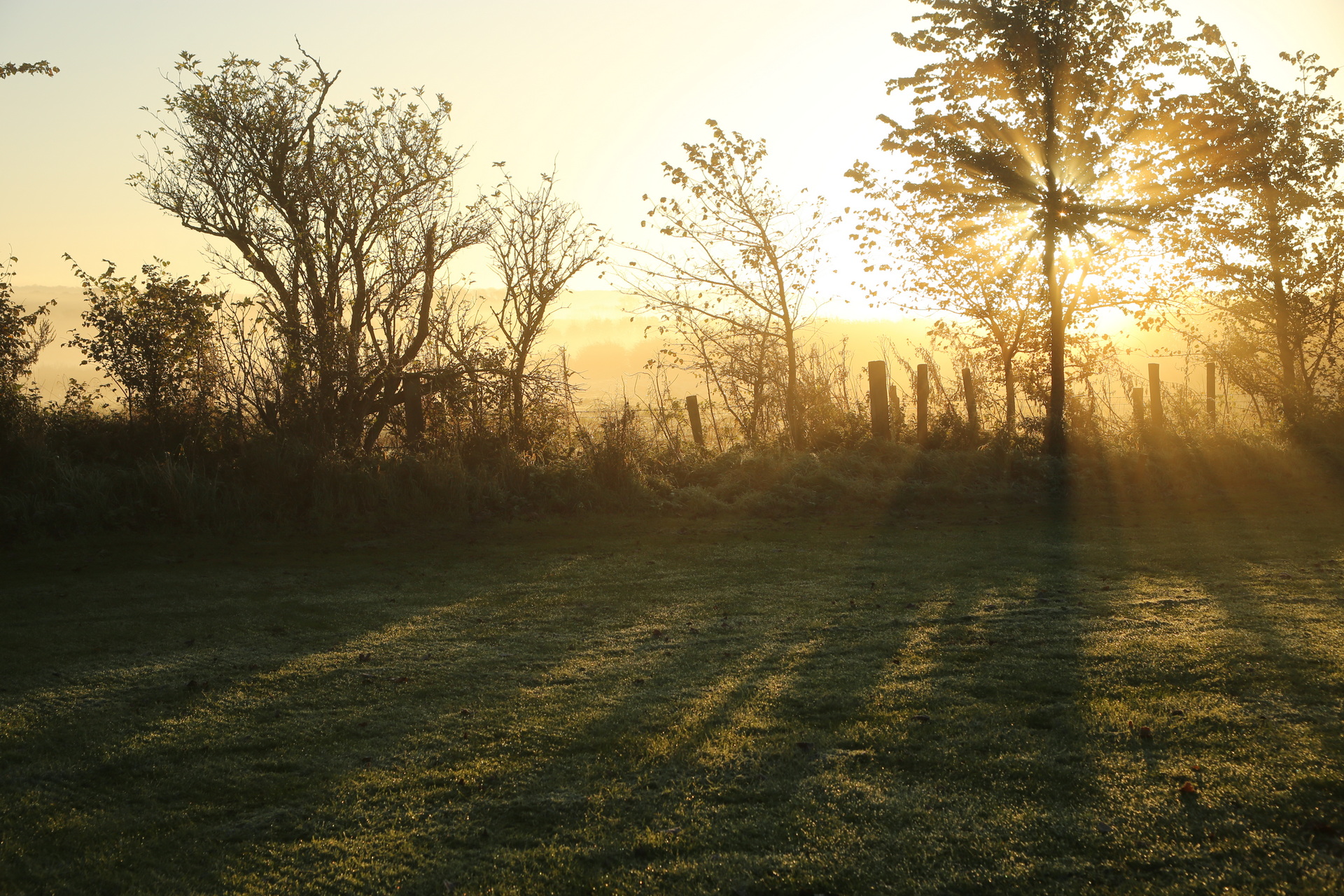 Playing field at sunrise